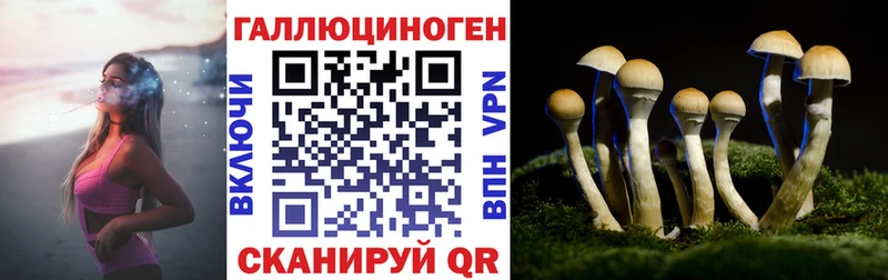 где купить   Дербент  Галлюциногенные грибы Cubensis 