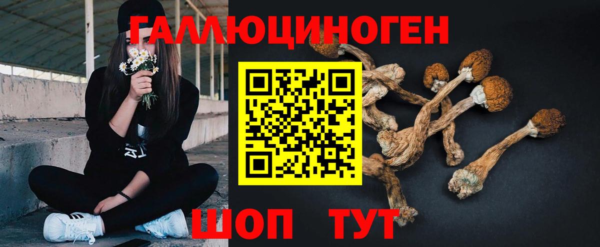 Дербент  Псилоцибиновые грибы мухоморы  Вход с VPN 